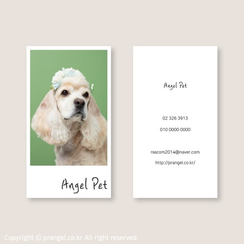 #Angel Pet [애견 명함]피알엔젤(PRangel)