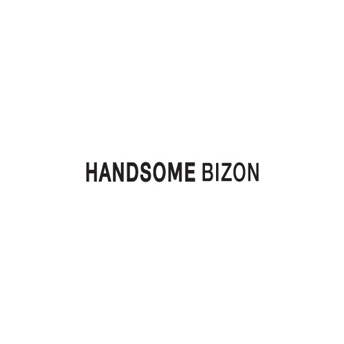 [워드형 로고]핸썸비즈온(Handsome bizon)피알엔젤(PRangel)