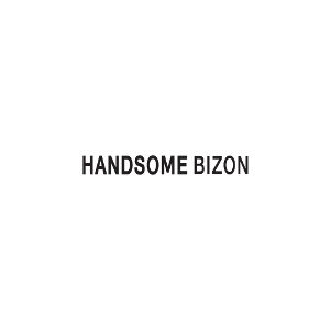 [워드형 로고]핸썸비즈온(Handsome bizon)피알엔젤(PRangel)